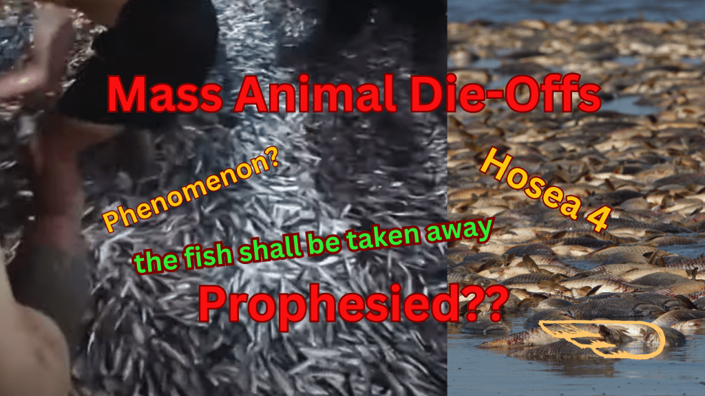 Mass Animal Die Offs - Last Day Signs